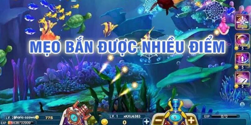oxbet đá gà