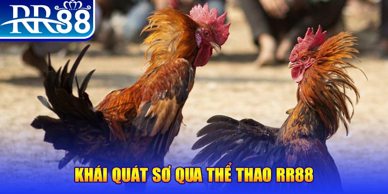 oxbet baccarat bịp như thế nào
