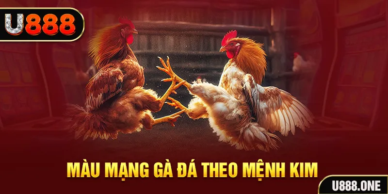 oxbet gà chọi tiêu phong