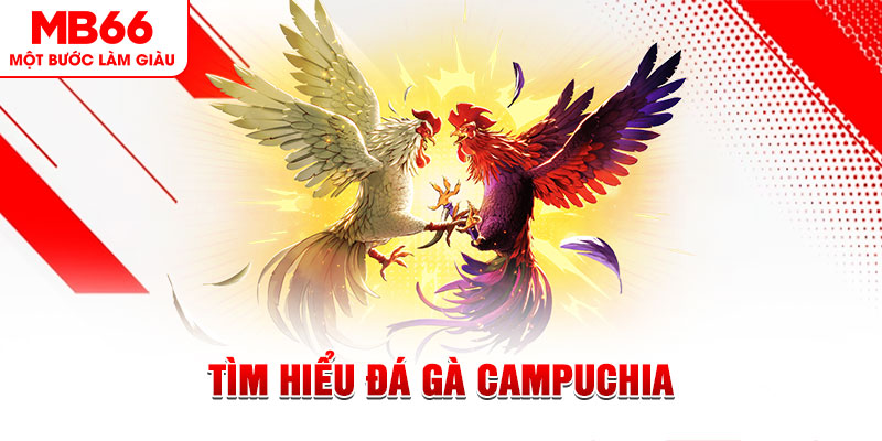 oxbet tại sao không tải được nổ hũ