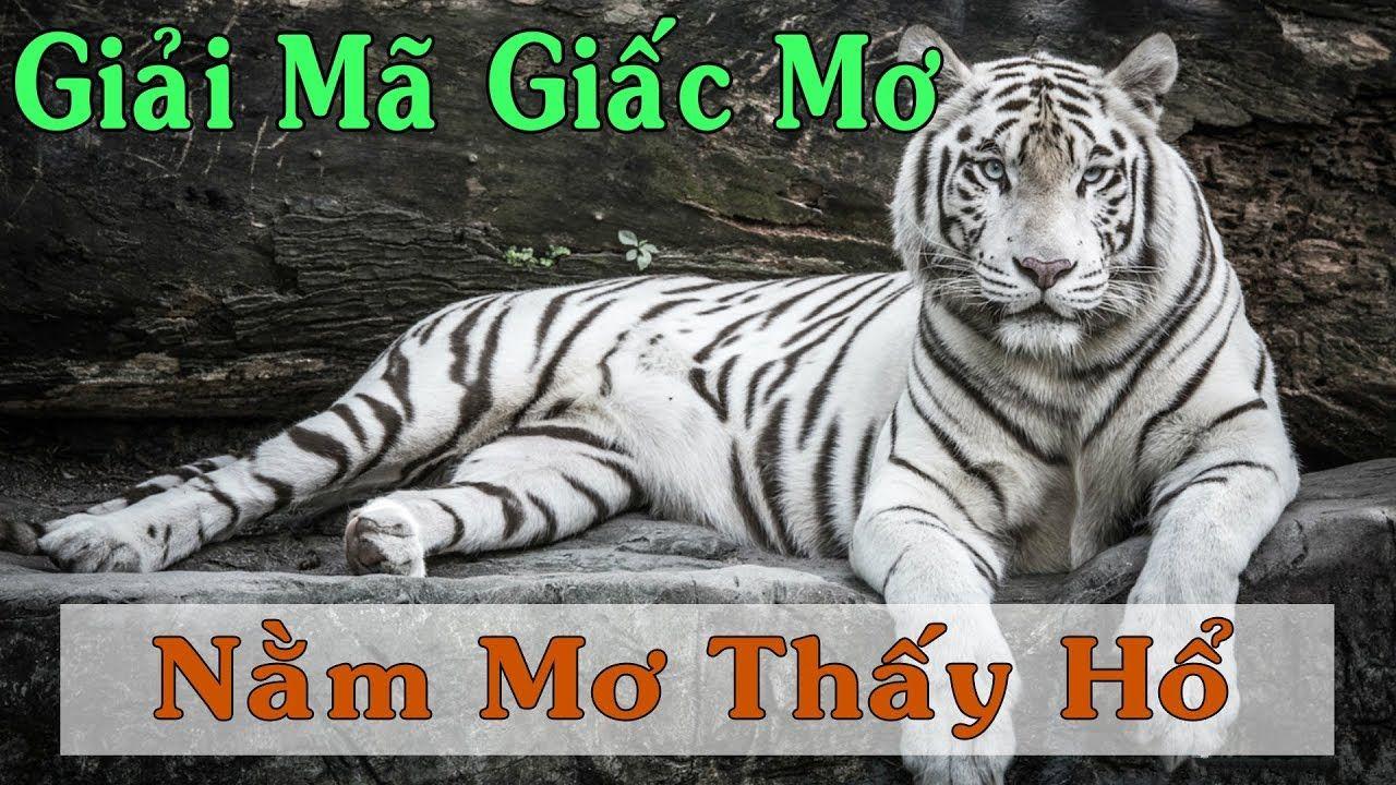 oxbet xổ số miền trung