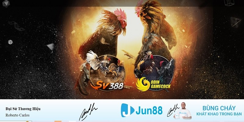 oxbet xổ số miền nam hàng tuần