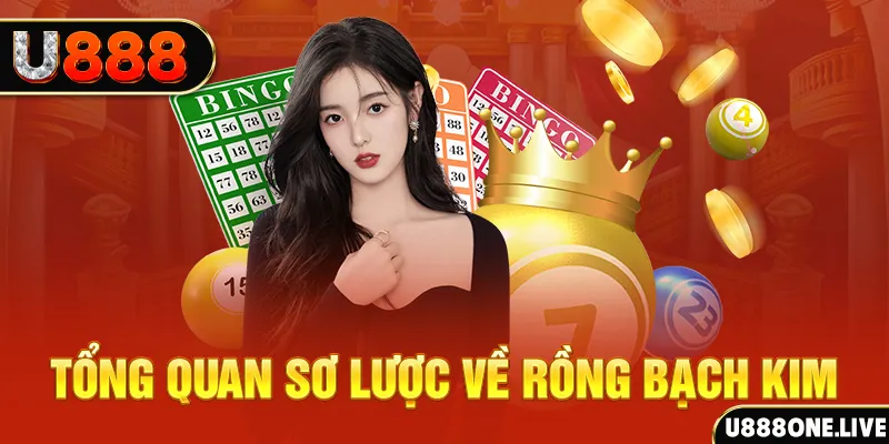 oxbet how to win at slot machines