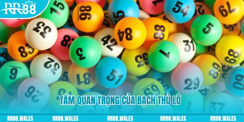 oxbet Ws168 Đá Gà