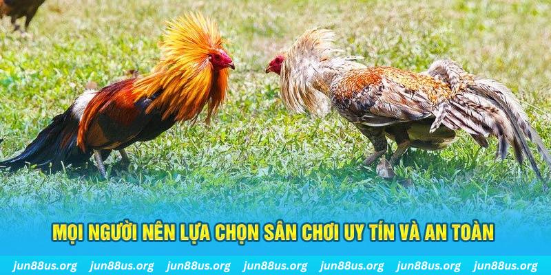 oxbet hơn cả bạn bè