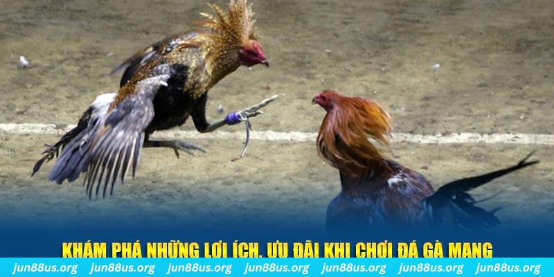 oxbet Tài Xỉu 2