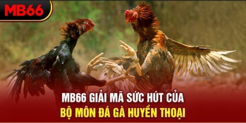 oxbet long bảo trong baccarat là gì
