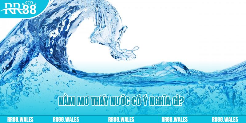 đá gà trực tiếp thomo