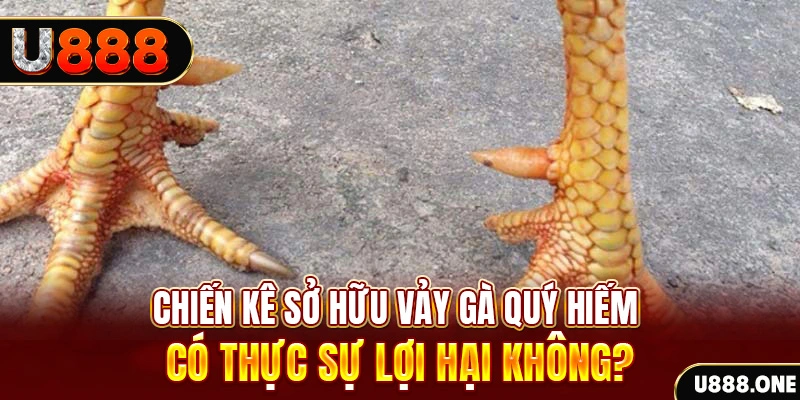 oxbet game cá cược máy bay