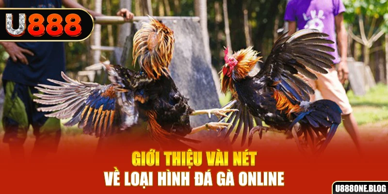 oxbet xổ số miền nam thứ ba