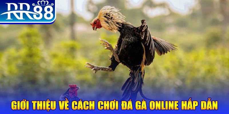 oxbet nổ hũ 2 mặt là gì