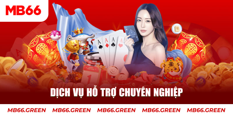 oxbet gà chọi cậu thanh