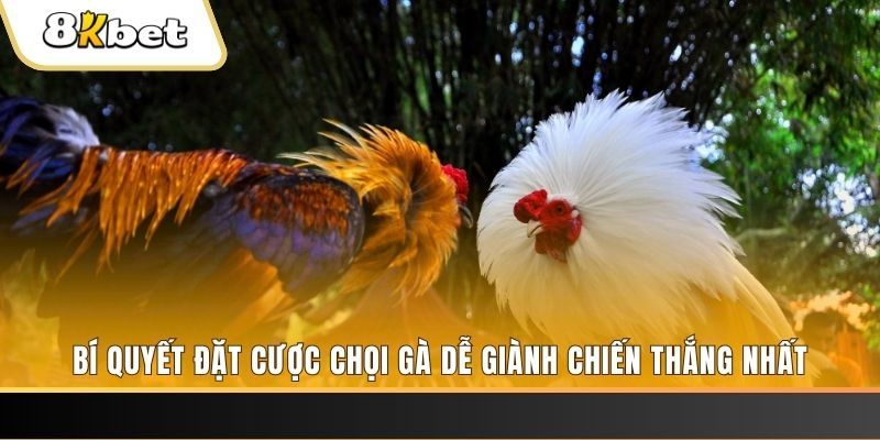 oxbet may club nổ hũ