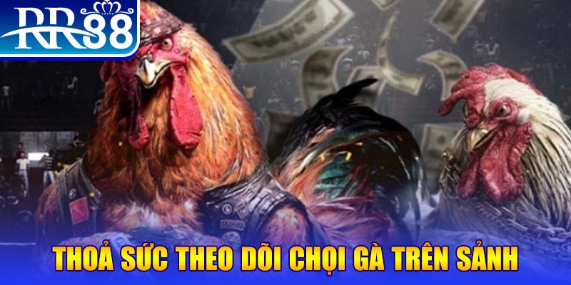 oxbet NE Điện Tử