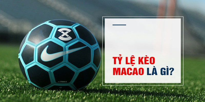 oxbet Trăm Knorr