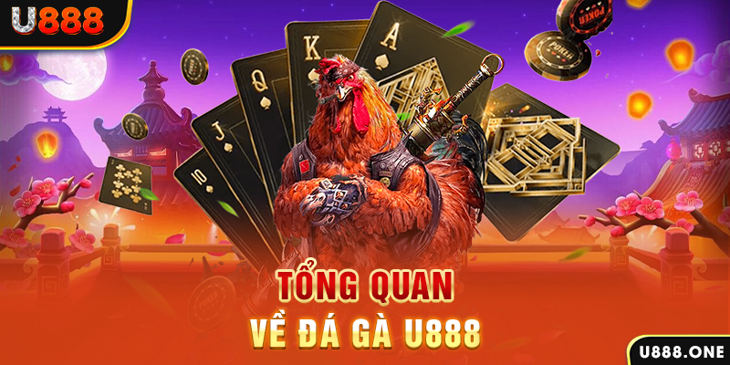 oxbet what is casino bonus wagering